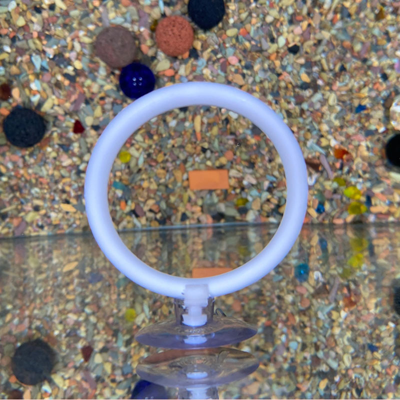 1pcs Plastic Fish Tank Aquariu - Gymnastics Rings ulasan dan harga