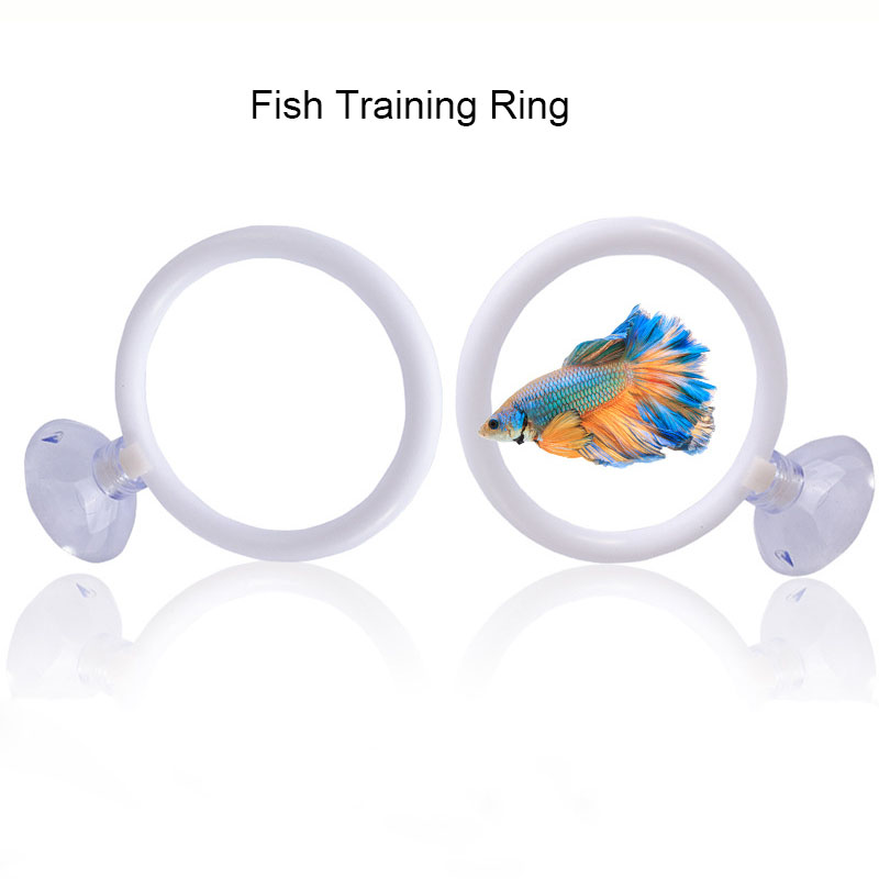1pcs Plastic Fish Tank Aquariu - Gymnastics Rings ulasan dan harga