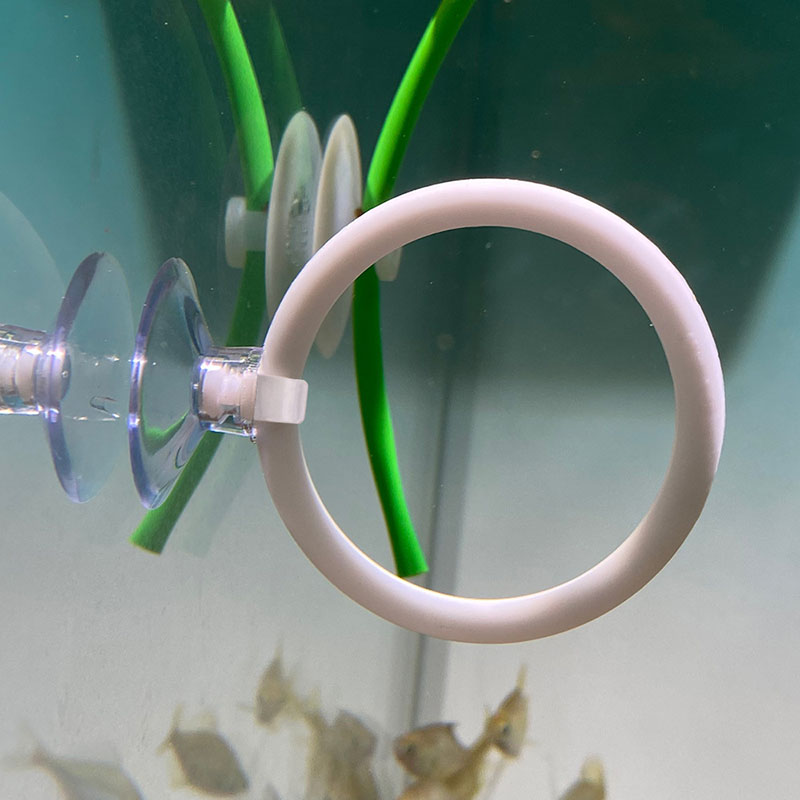 1pcs Plastic Fish Tank Aquariu - Gymnastics Rings ulasan dan harga
